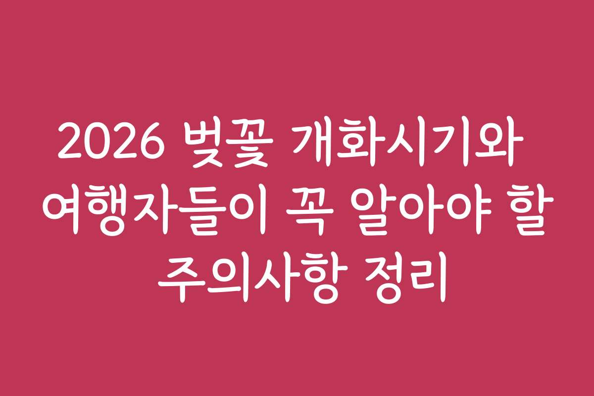 2026 벚꽃 개화시기와 여행자들이 꼭 알아야 할 주의사항 정리