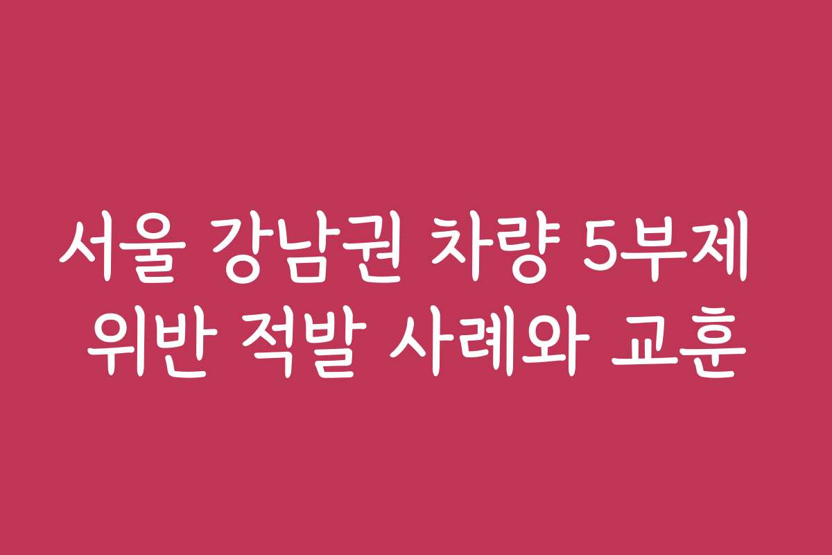 서울 강남권 차량 5부제 위반 적발 사례와 교훈
