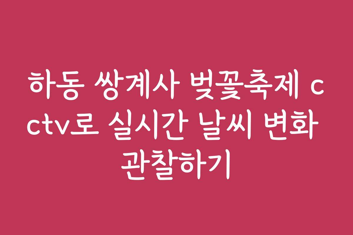 하동 쌍계사 벚꽃축제 cctv로 실시간 날씨 변화 관찰하기