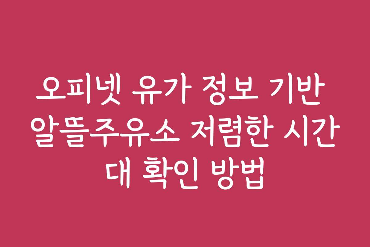 오피넷 유가 정보 기반 알뜰주유소 저렴한 시간대 확인 방법