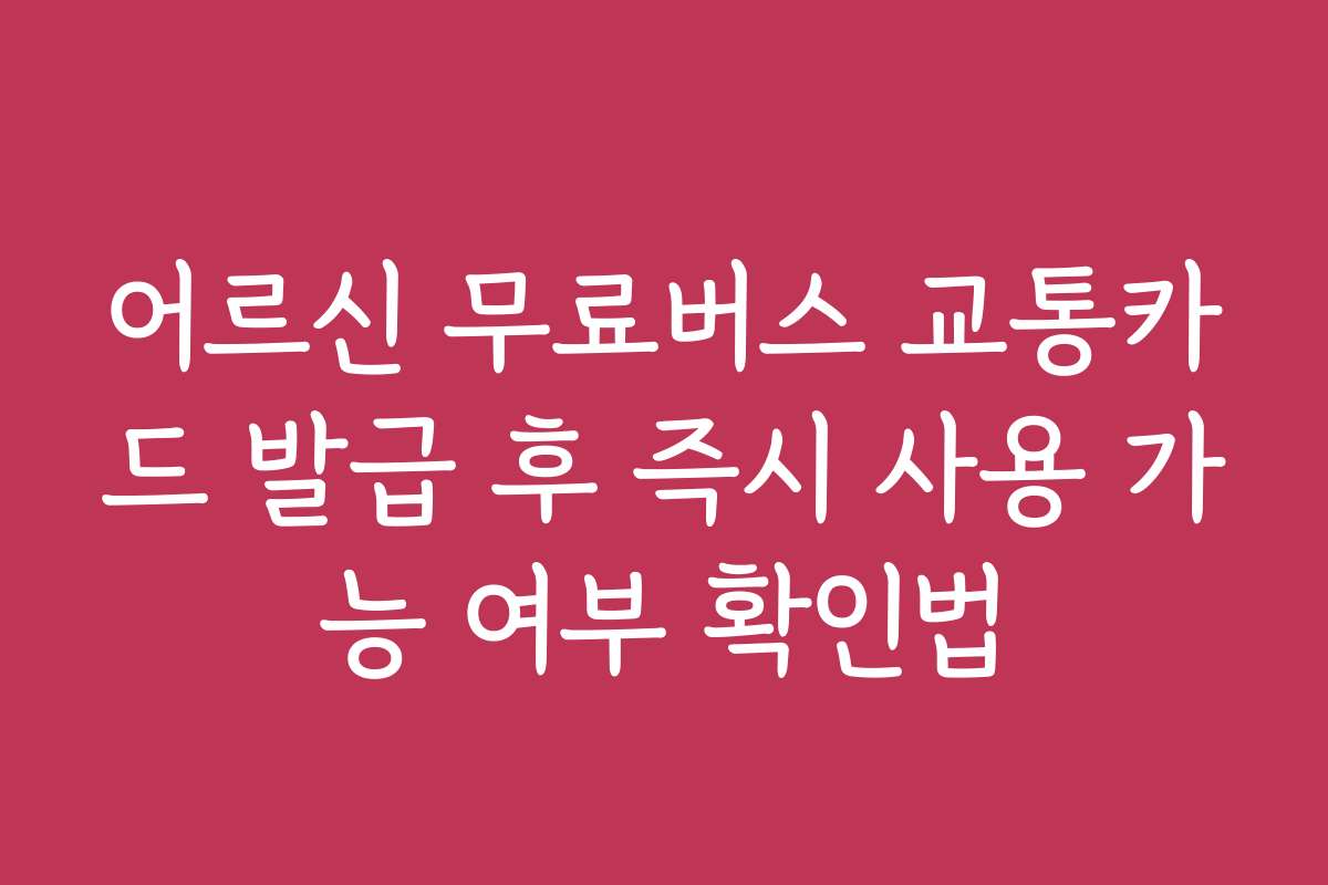어르신 무료버스 교통카드 발급 후 즉시 사용 가능 여부 확인법