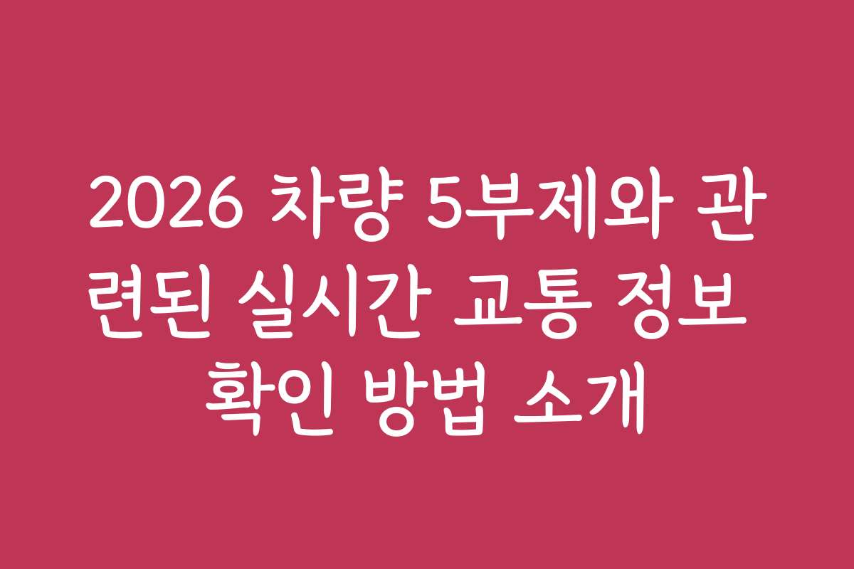 2026 차량 5부제와 관련된 실시간 교통 정보 확인 방법 소개