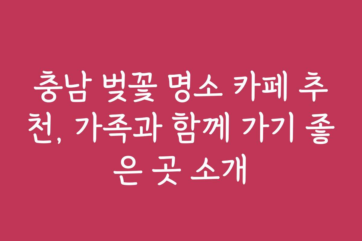 충남 벚꽃 명소 카페 추천, 가족과 함께 가기 좋은 곳 소개