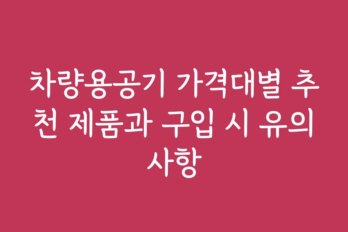 차량용공기 가격대별 추천 제품과 구입 시 유의사항