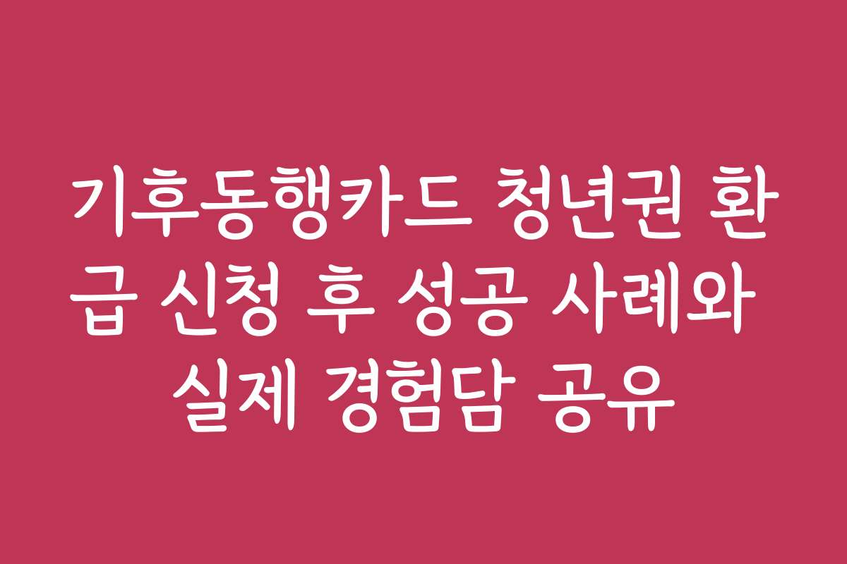 기후동행카드 청년권 환급 신청 후 성공 사례와 실제 경험담 공유