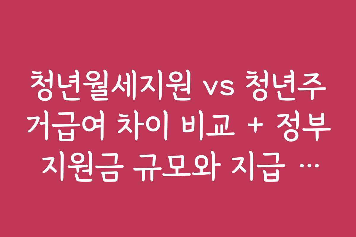 청년월세지원 vs 청년주거급여 차이 비교 + 정부 지원금 규모와 지급 시기