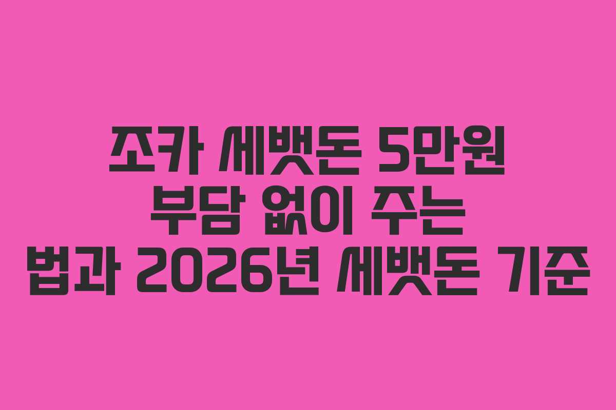 조카 세뱃돈 5만원 부담 없이 주는 법과 2026년 세뱃돈 기준