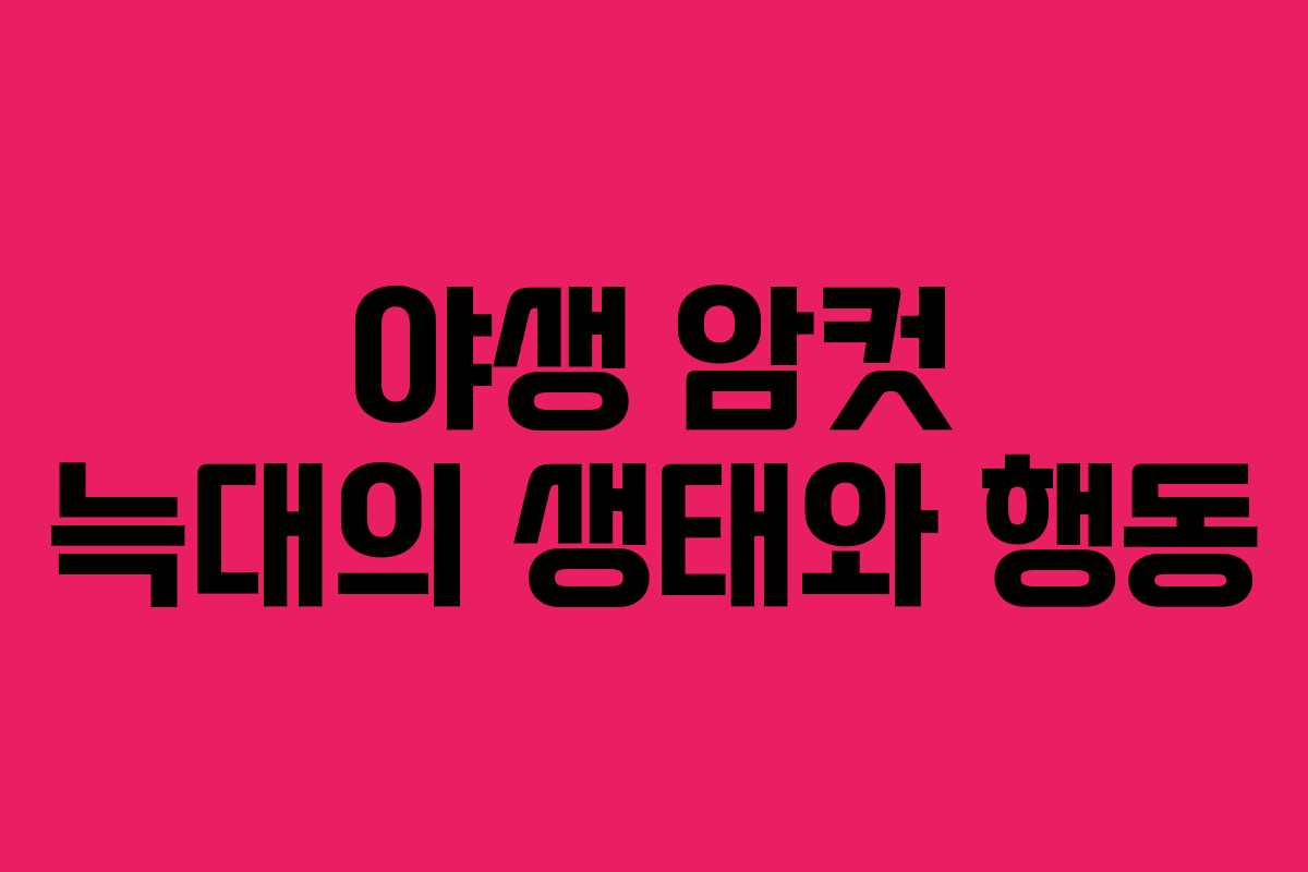 야생 암컷 늑대의 생태와 행동