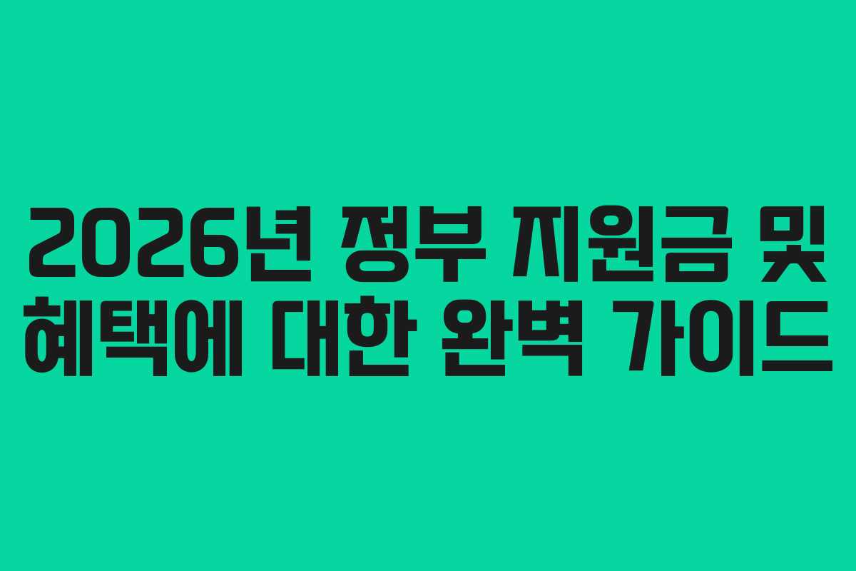 2026년 정부 지원금 및 혜택에 대한 완벽 가이드
