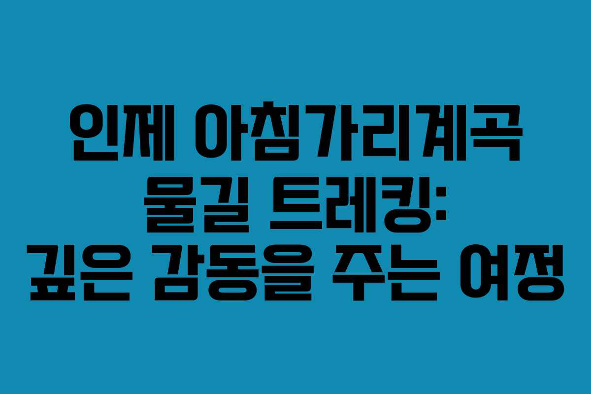 인제 아침가리계곡 물길 트레킹: 깊은 감동을 주는 여정