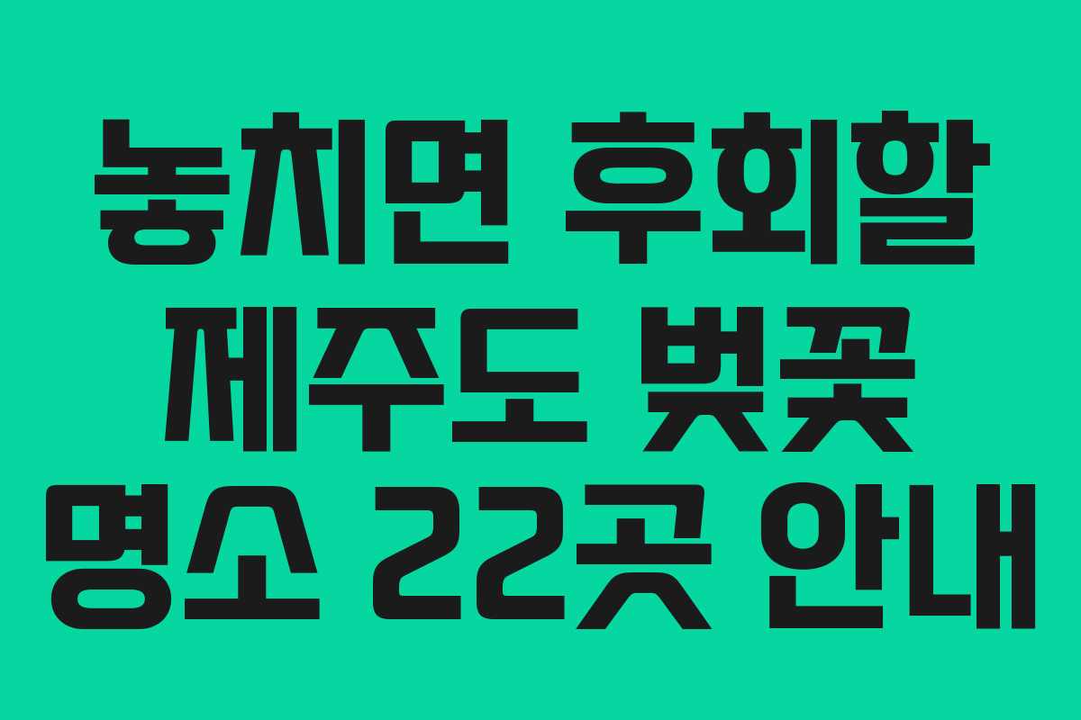 놓치면 후회할 제주도 벚꽃 명소 22곳 안내