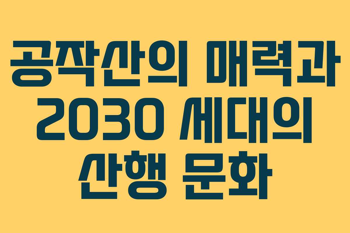 공작산의 매력과 2030 세대의 산행 문화