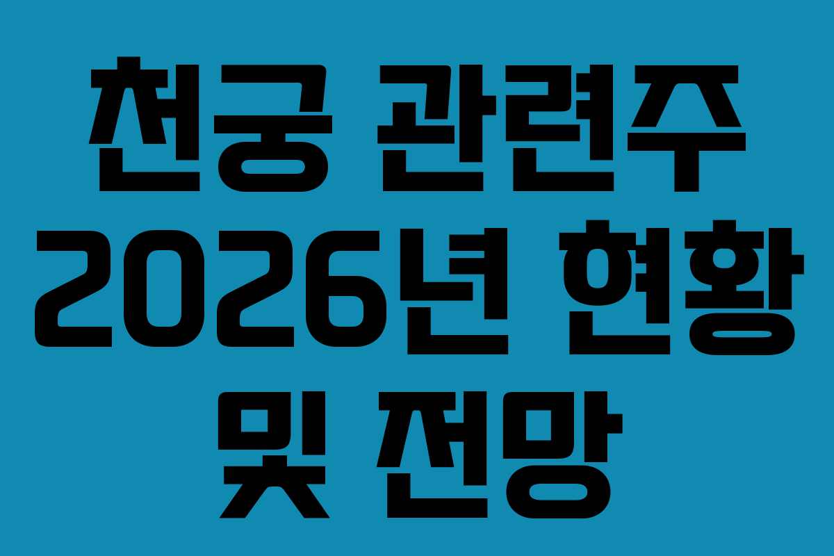 천궁 관련주 2026년 현황 및 전망