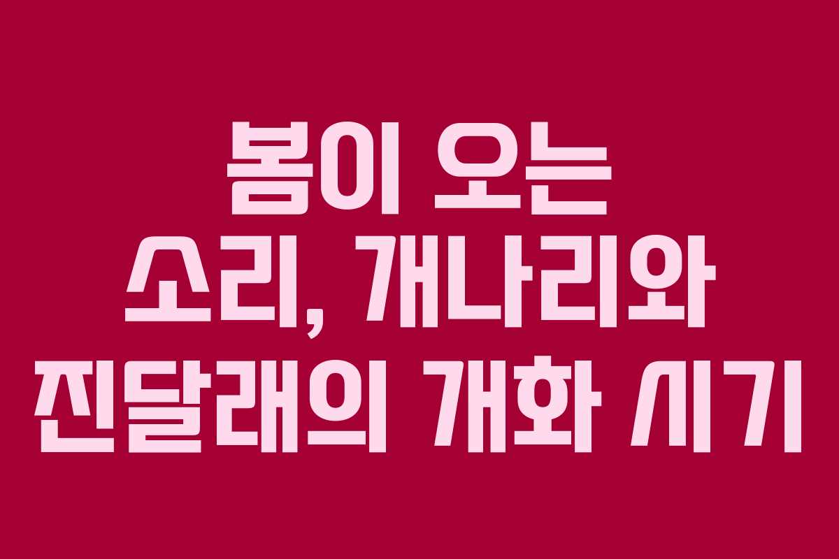 봄이 오는 소리, 개나리와 진달래의 개화 시기