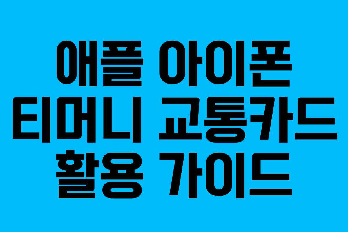 애플 아이폰 티머니 교통카드 활용 가이드