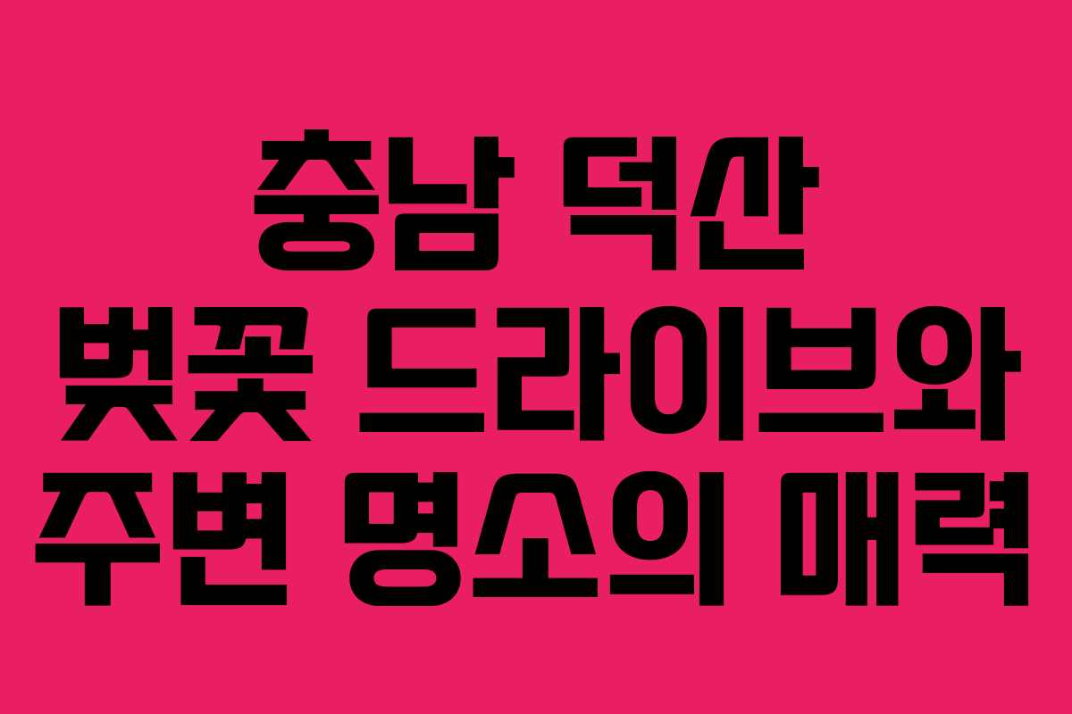 충남 덕산 벚꽃 드라이브와 주변 명소의 매력