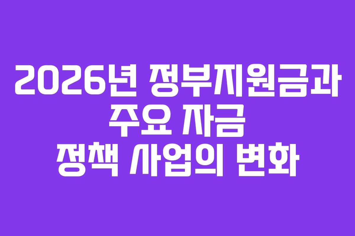 2026년 정부지원금과 주요 자금 정책 사업의 변화