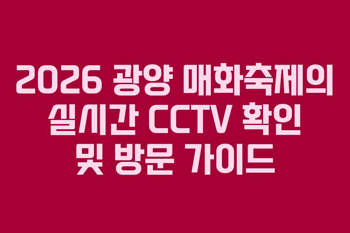 2026 광양 매화축제의 실시간 CCTV 확인 및 방문 가이드