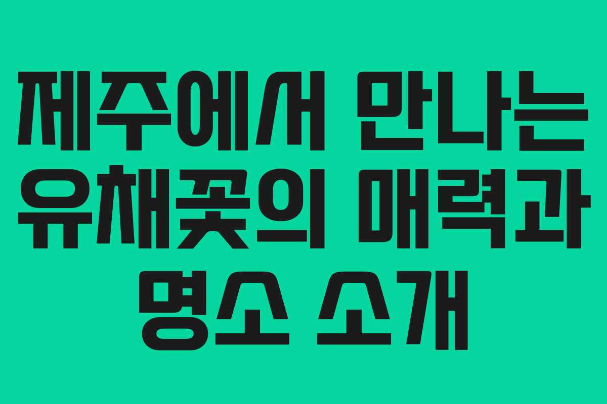제주에서 만나는 유채꽃의 매력과 명소 소개