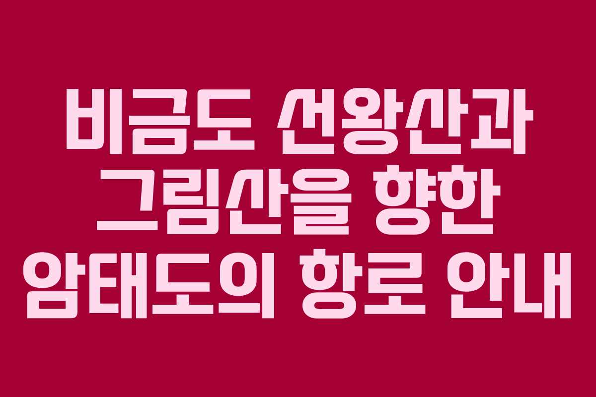 비금도 선왕산과 그림산을 향한 암태도의 항로 안내