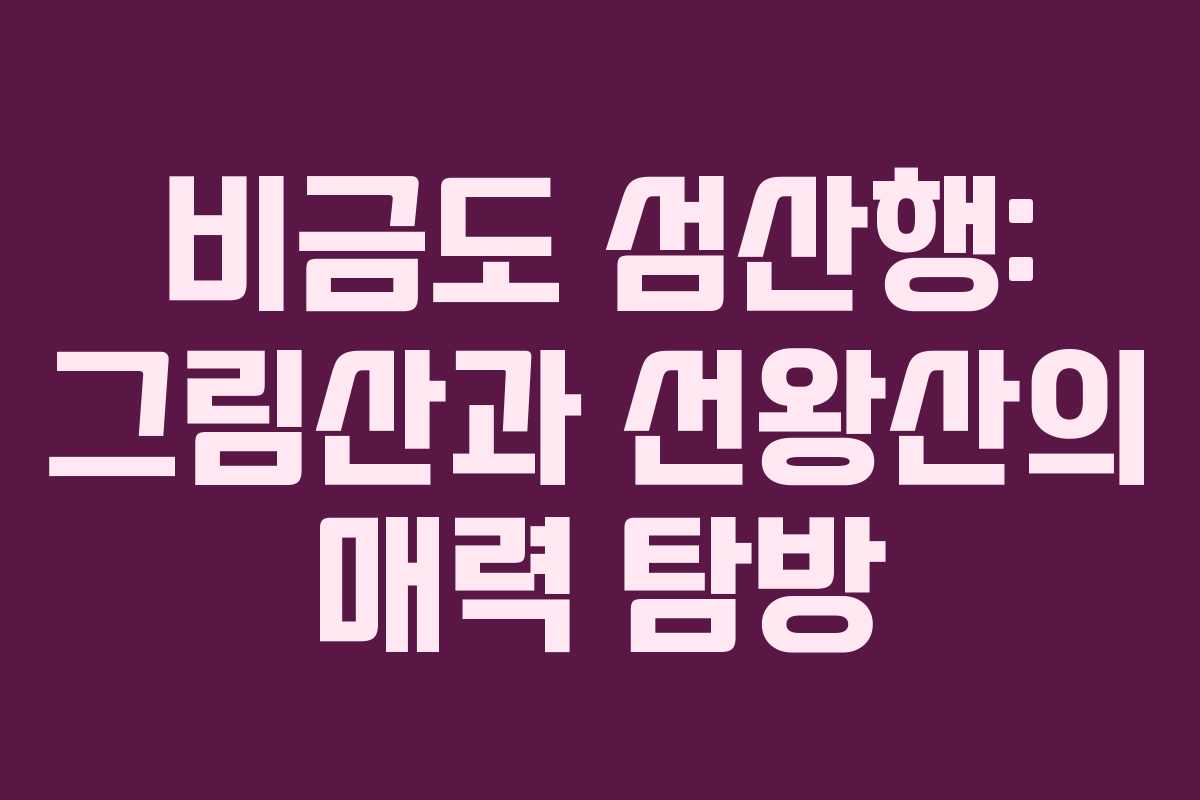 비금도 섬산행: 그림산과 선왕산의 매력 탐방