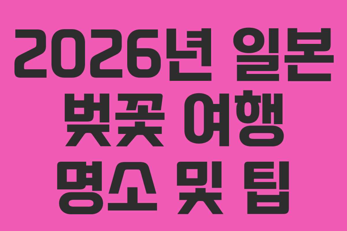 2026년 일본 벚꽃 여행 명소 및 팁