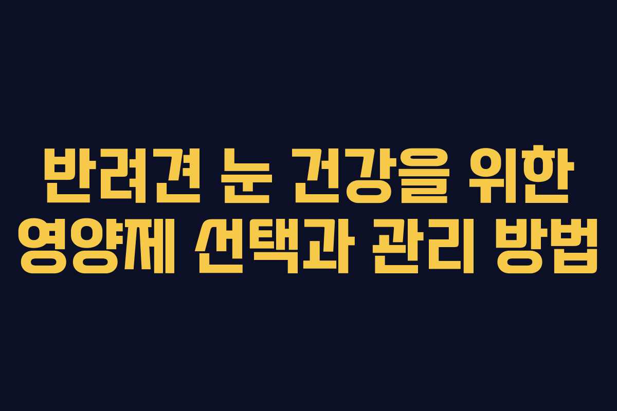 반려견 눈 건강을 위한 영양제 선택과 관리 방법