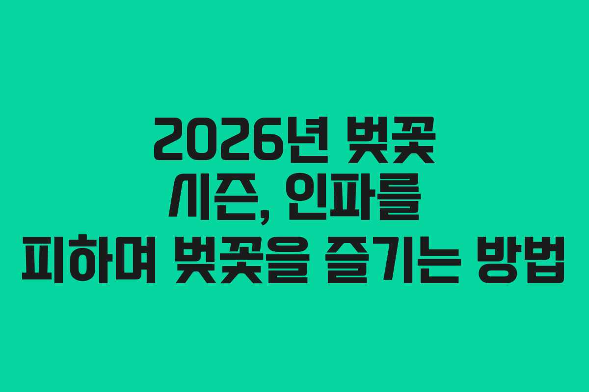2026년 벚꽃 시즌, 인파를 피하며 벚꽃을 즐기는 방법
