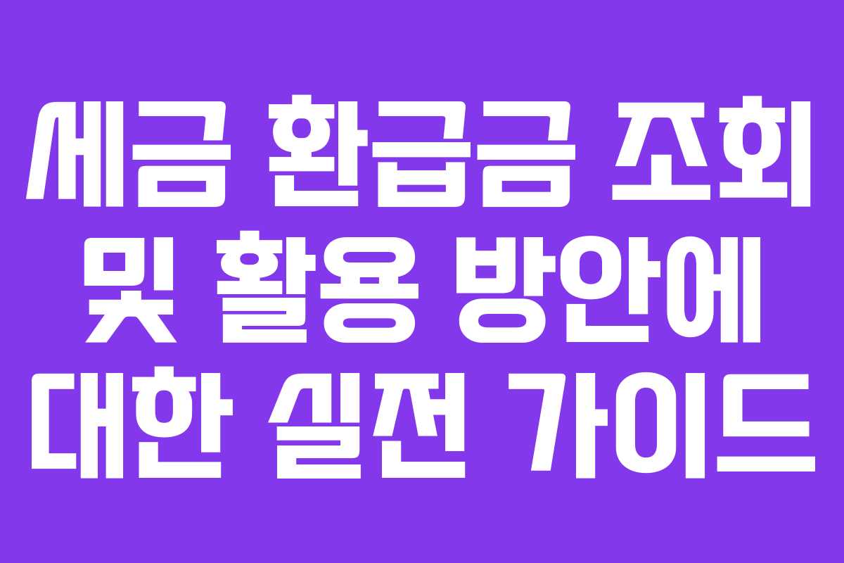 세금 환급금 조회 및 활용 방안에 대한 실전 가이드