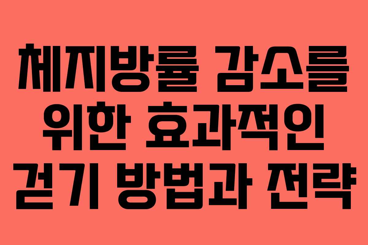 체지방률 감소를 위한 효과적인 걷기 방법과 전략