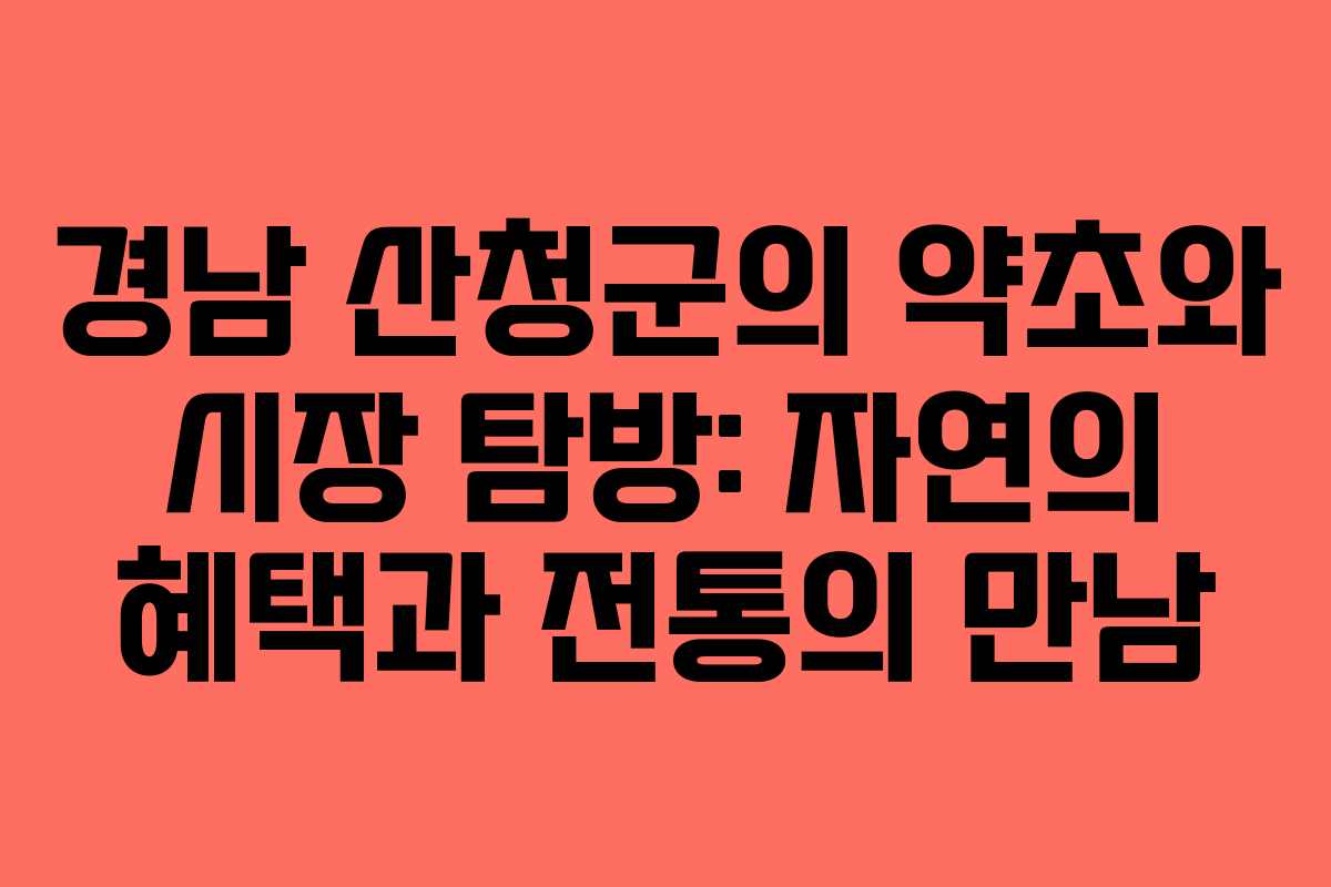 경남 산청군의 약초와 시장 탐방: 자연의 혜택과 전통의 만남