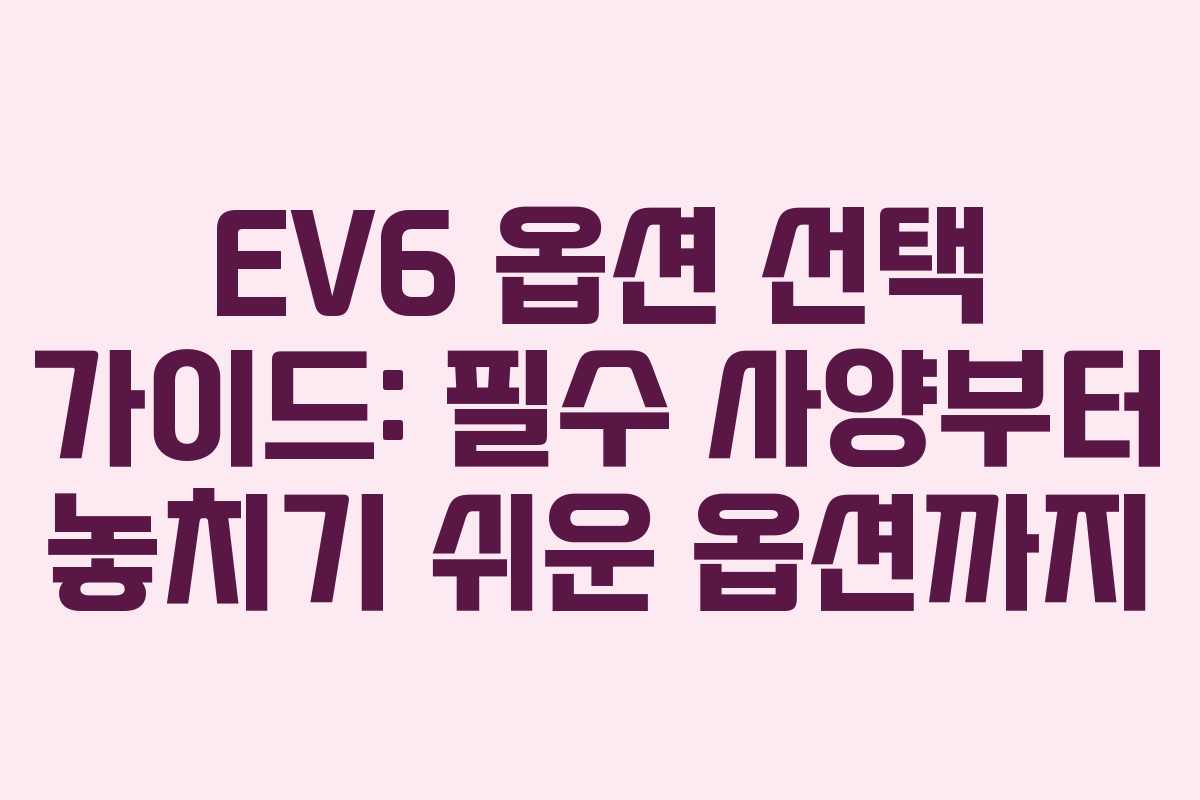 EV6 옵션 선택 가이드: 필수 사양부터 놓치기 쉬운 옵션까지