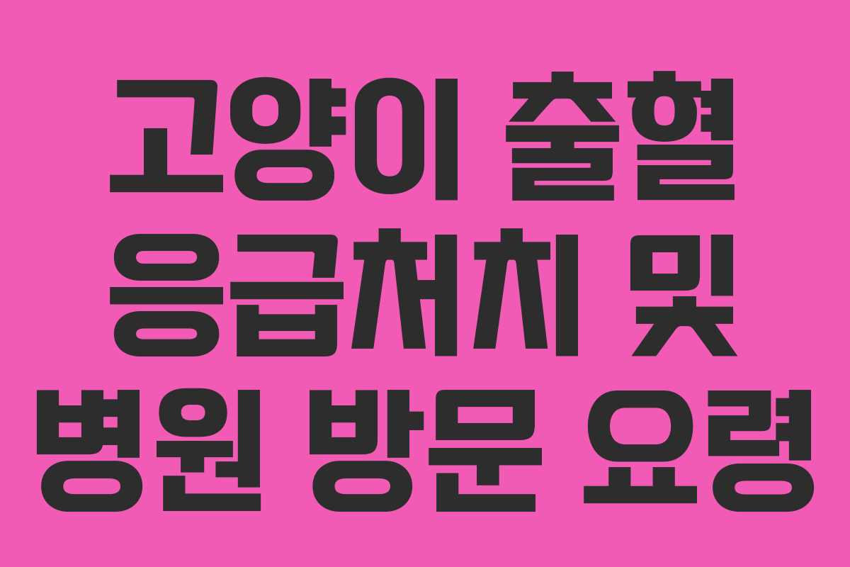 고양이 출혈 응급처치 및 병원 방문 요령