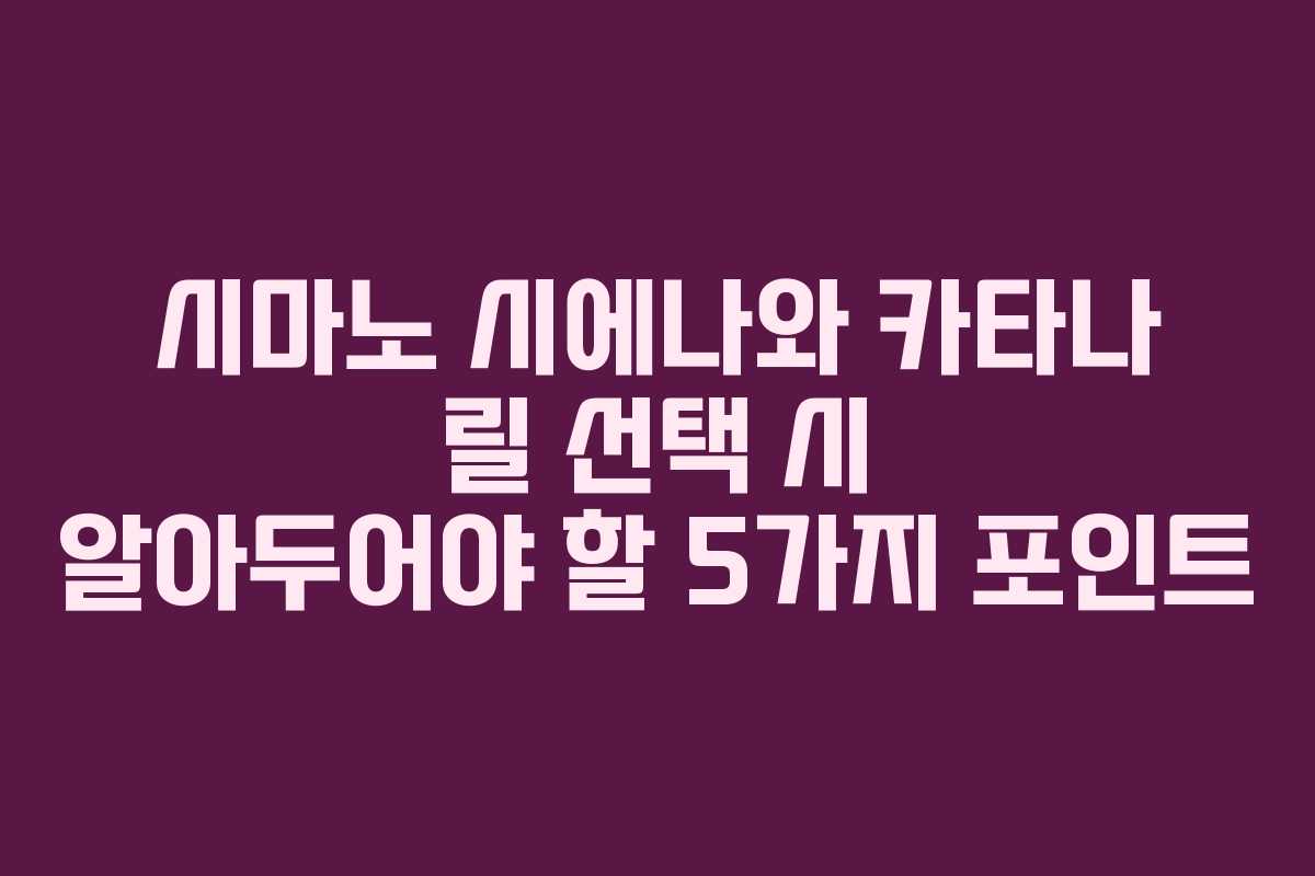 시마노 시에나와 카타나 릴 선택 시 알아두어야 할 5가지 포인트