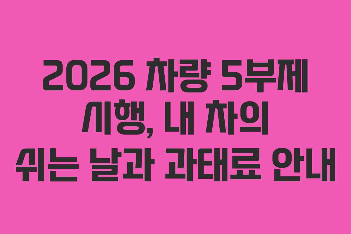 2026 차량 5부제 시행, 내 차의 쉬는 날과 과태료 안내
