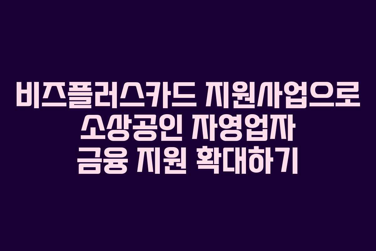 비즈플러스카드 지원사업으로 소상공인 자영업자 금융 지원 확대하기