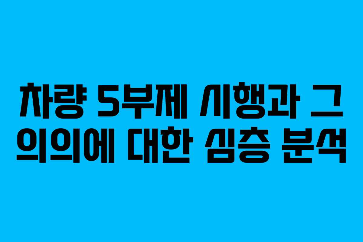 차량 5부제 시행과 그 의의에 대한 심층 분석