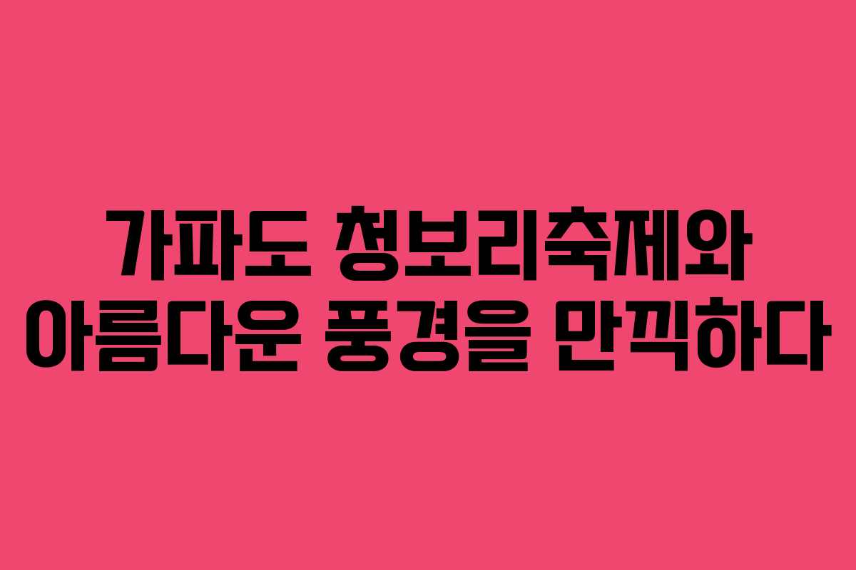가파도 청보리축제와 아름다운 풍경을 만끽하다