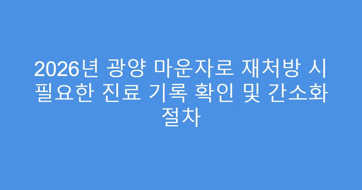 2026년 광양 마운자로 재처방 시 필요한 진료 기록 확인 및 간소화 절차