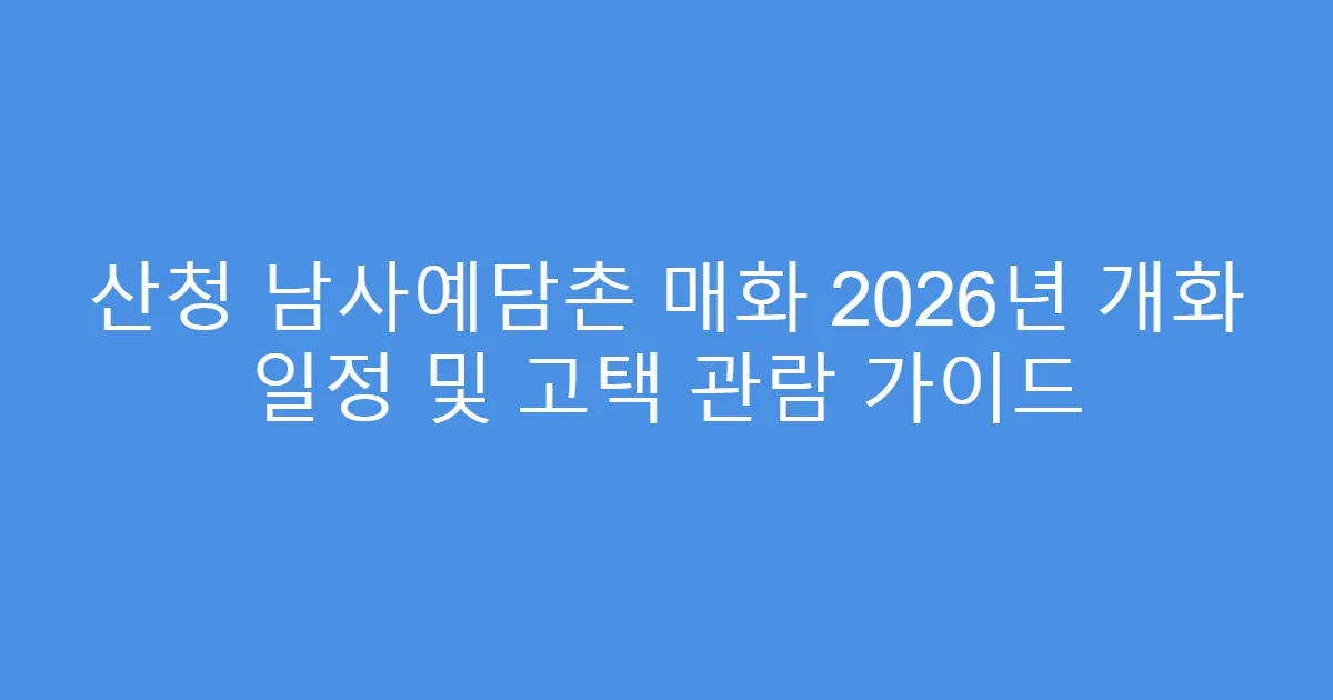 산청 남사예담촌 매화 2026년 개화 일정 및 고택 관람 가이드