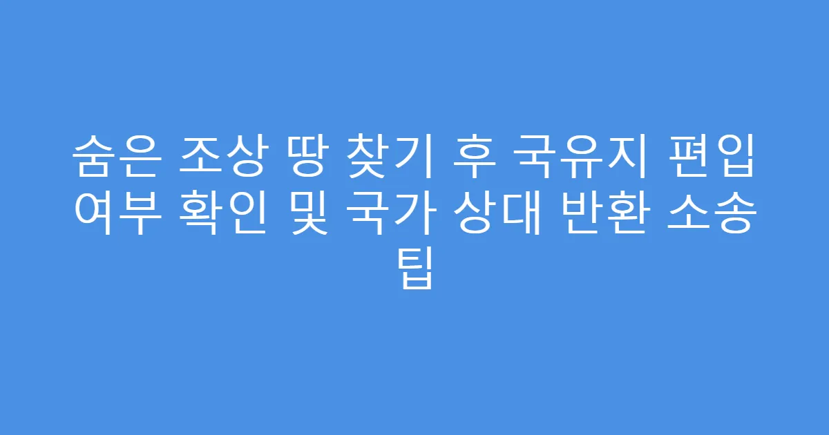 숨은 조상 땅 찾기 후 국유지 편입 여부 확인 및 국가 상대 반환 소송 팁