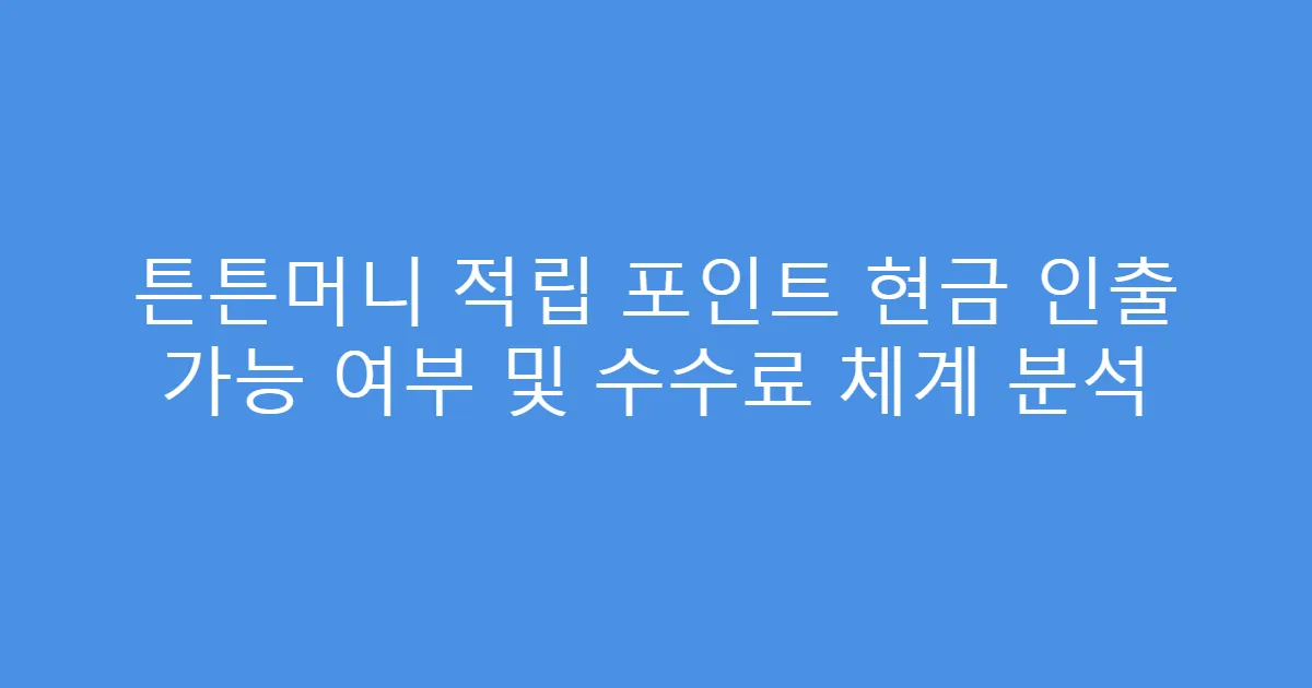 튼튼머니 적립 포인트 현금 인출 가능 여부 및 수수료 체계 분석