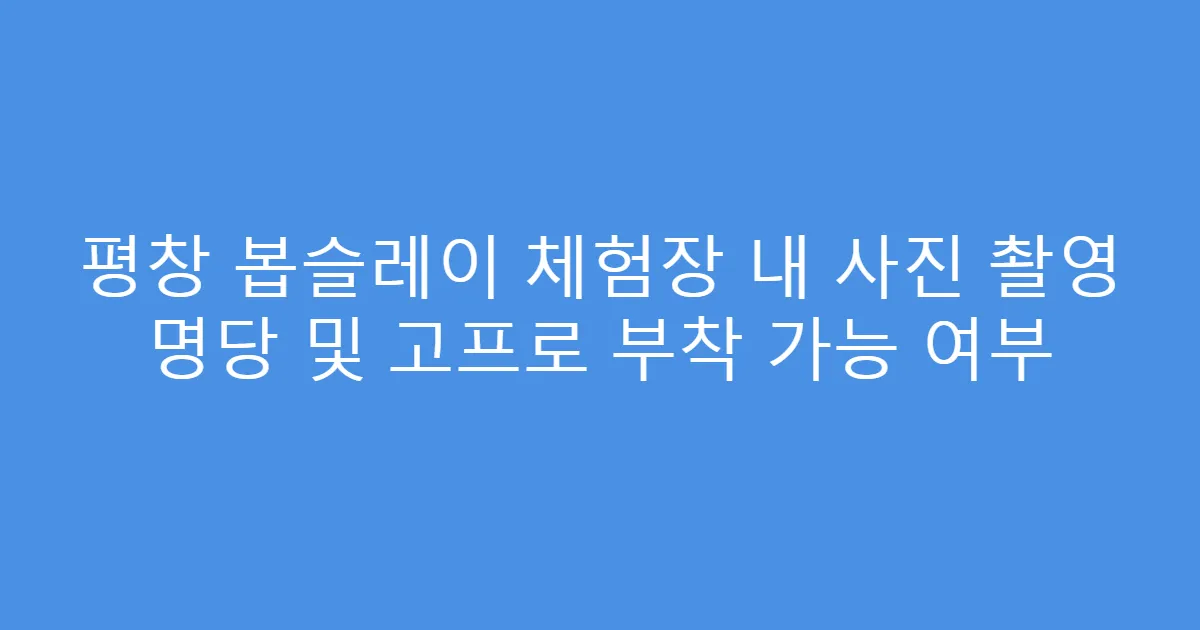 평창 봅슬레이 체험장 내 사진 촬영 명당 및 고프로 부착 가능 여부