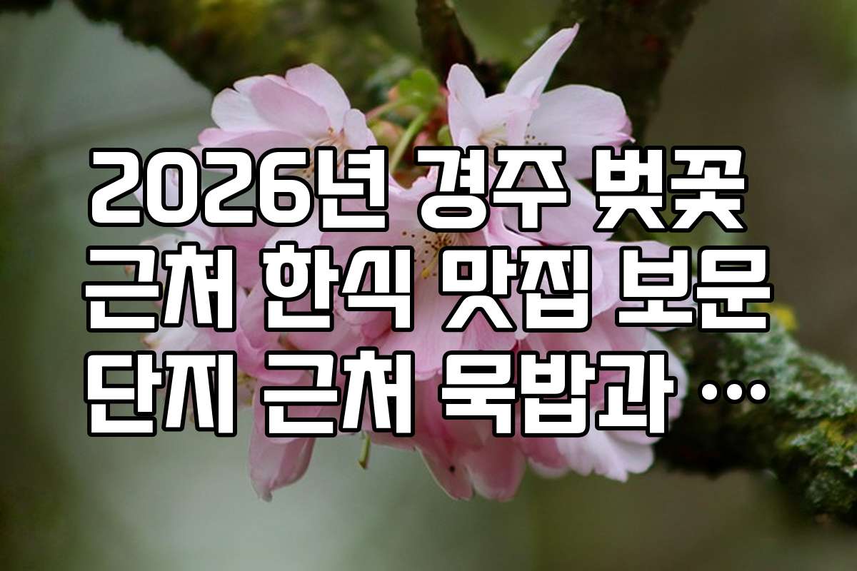 2026년 경주 벚꽃 근처 한식 맛집 보문단지 근처 묵밥과 콩국수 전문