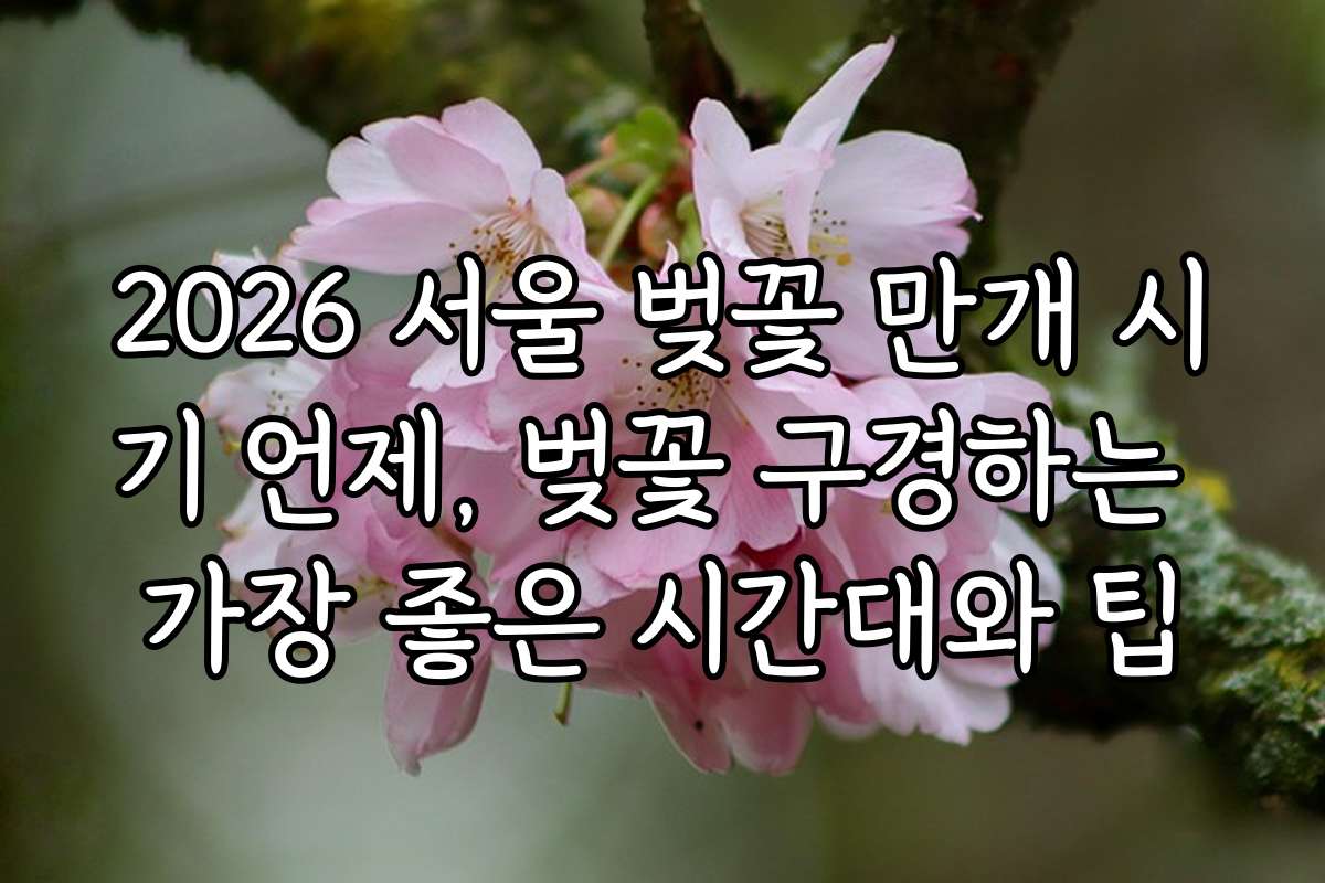 2026 서울 벚꽃 만개 시기 언제, 벚꽃 구경하는 가장 좋은 시간대와 팁