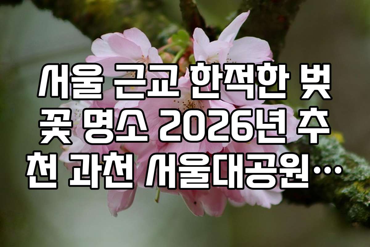 서울 근교 한적한 벚꽃 명소 2026년 추천 과천 서울대공원 외곽