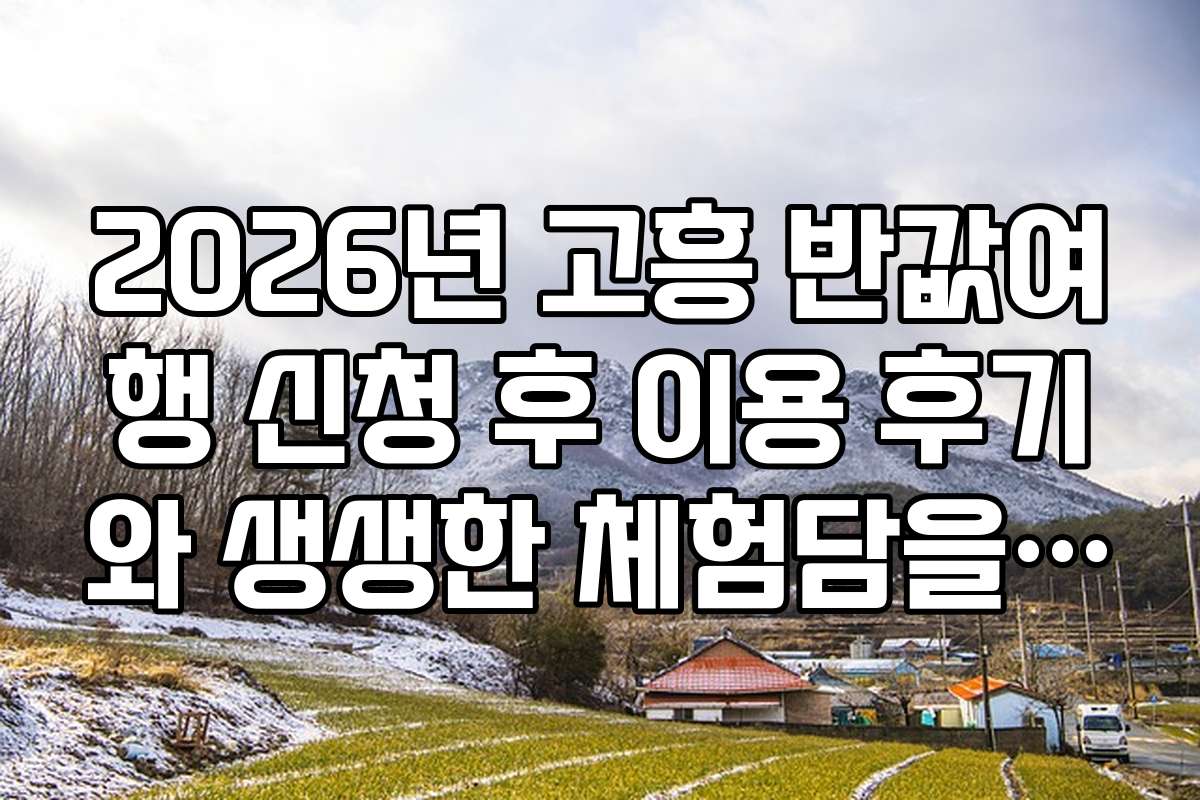 2026년 고흥 반값여행 신청 후 이용 후기와 생생한 체험담을 확인하세요