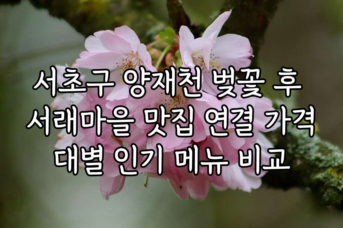 서초구 양재천 벚꽃 후 서래마을 맛집 연결 가격대별 인기 메뉴 비교