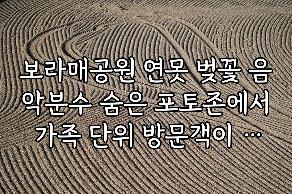 보라매공원 연못 벚꽃 음악분수 숨은 포토존에서 가족 단위 방문객이 놓치지 말아야 할 포토존 추천