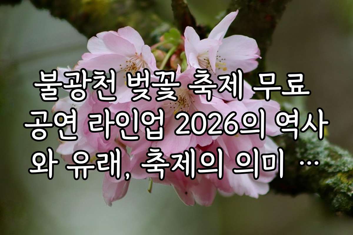 불광천 벚꽃 축제 무료 공연 라인업 2026의 역사와 유래, 축제의 의미 알아보기